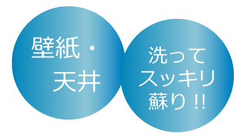 壁紙・天井